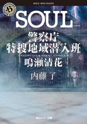 SOUL �ٻ�ģ�����ϰ������ɡ���������