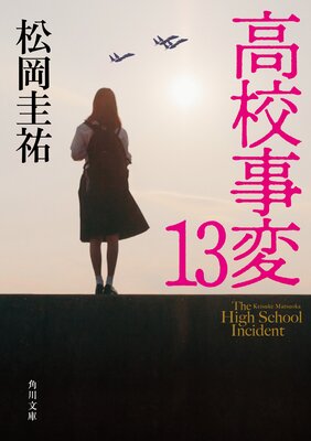 �⹻���� 13