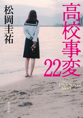 �⹻���� 22