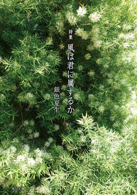 ���� ���Ϸ���°���뤫