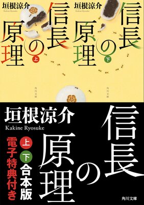 ��Ĺ�θ����ھ岼 ������ �Ż���ŵ�դ���