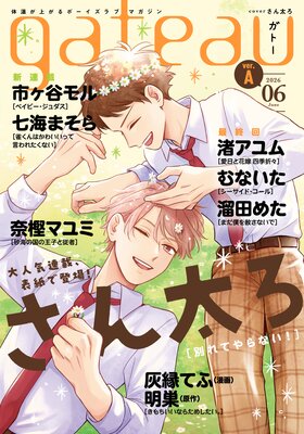 gateau �ʥ��ȡ��� 2026ǯ6��� ver.A��ɽ��