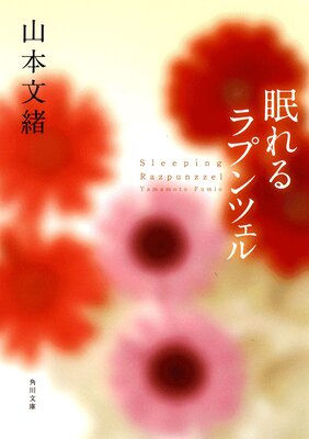 ̲����ץ�ĥ���
