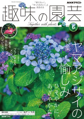NHK ��̣�α�� 2026ǯ6���