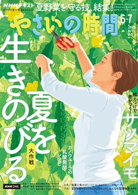 NHK �䤵���λ��� 2026ǯ6�7���