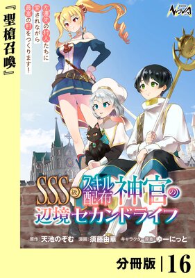 SSS�饹�������ۿ������ն�������ɥ饤�ա�ʬ���ǡۡʥΥ������ߥå�����16