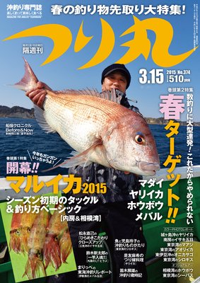 �Ĥ�� 2015ǯ 3��15���ɽ��