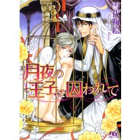 月夜の王子に囚われて