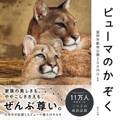 �ԥ塼�ޤΤ�����