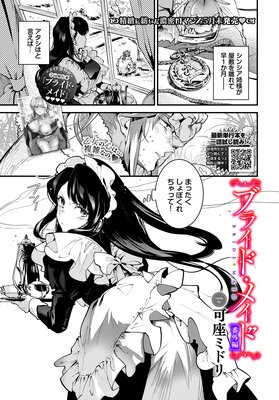 �֥饤�ɡ��ᥤ�� �ֳ��Ԥ�ɽ��