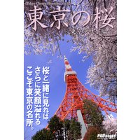 Tokyo Cherry Blossom 東京の桜 〜東京タワー編〜