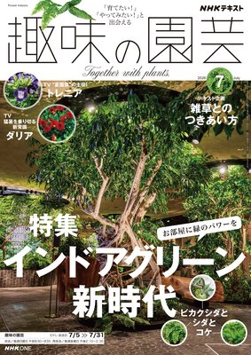 NHK ��̣�α�� 2026ǯ7���