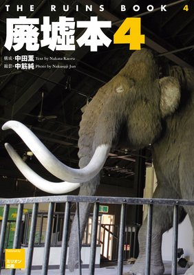 ������ THE RUINS BOOK