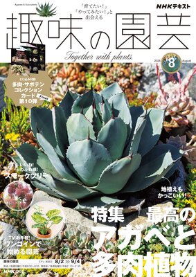 NHK ��̣�α��