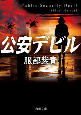 ���¥ǥӥ��ɽ��