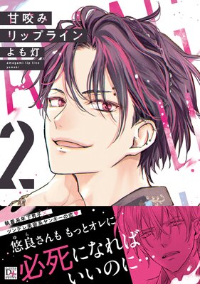 �����ߥ�åץ饤���2�ˤ�ɽ��