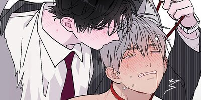 S�饬���ɤμ��尦26�ڥե륫�顼��