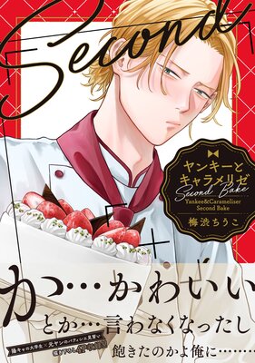 ��󥭡��ȥ�����ꥼ Second Bake��Renta�������ǡۤ�ɽ��