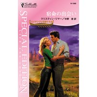 宿命の出会い バイキングの花嫁たち III