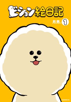 �ӥ��������