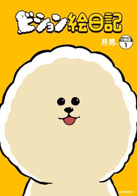 �ӥ�������� ʬ����