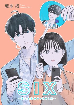 SIX���䤷�Ȼ�Υǥ������󥹡��ڥե륫�顼��