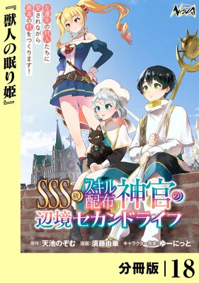 SSS�饹�������ۿ������ն�������ɥ饤�ա�ʬ���ǡۡʥΥ������ߥå�����18