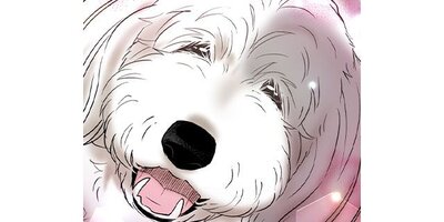 DOG SIGNAL�ڥ��ƥ����� Chapter171�ڥե륫�顼��