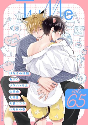 Tulle vol.65