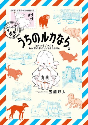 �����Υ륫�ʤ顣 �����Τ��������Ȥ郎�Ȥΰ����ɤä��⤿�ޤ��