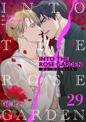 INTO THE ROSE GARDEN ����̿�����Ф�ʤ��Ƥ⡾�ʥե륫�顼�� 29