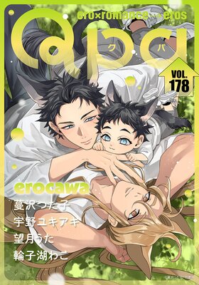 Qpa vol.178 ��������