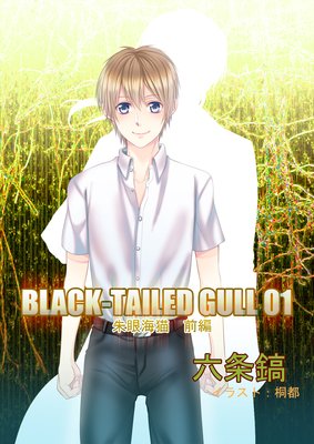 BLACKTAILED GULL
