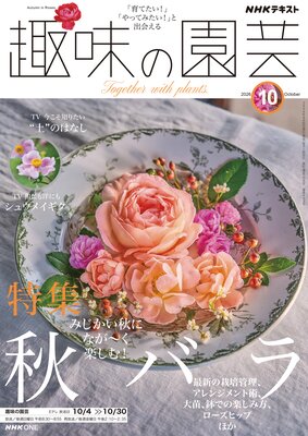 NHK ��̣�α�� 2026ǯ10���