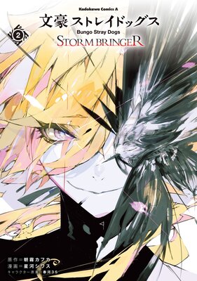 ʸ�륹�ȥ쥤�ɥå��� STORM BRINGER��2��