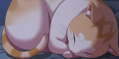 �����ͤ��ΤäƤ��� 17�áڥե륫�顼��