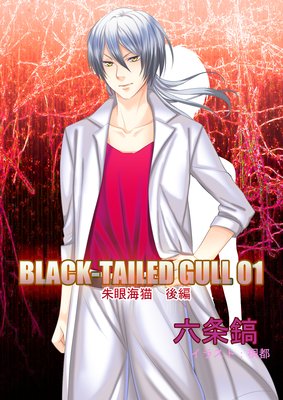 BLACK��TAILED GULL 01��㳤ǭ ����