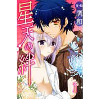星天の絆(きずな)
