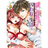 癒し系男子と囚われ生活(11)