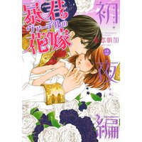 暴君ヴァーデルの花嫁 初夜編 2