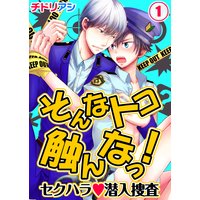 そんなトコ触んなっ!-セクハラ潜入捜査