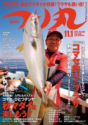 �Ĥ�� 2015ǯ 11��1���ɽ��