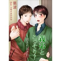 義弟とこっそり?〜流され試され〜