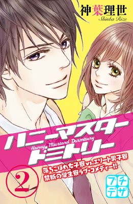 �ϥˡ��ޥ������ɥߥȥ꡼ �ץ��ǥ� 2��