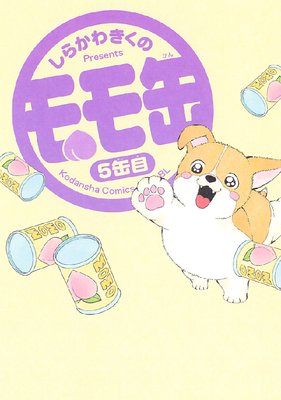 ���� 5��