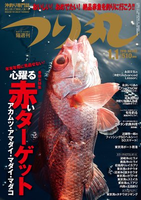 �Ĥ�� 2016ǯ 1��1���ɽ��