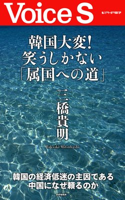 �ڹ����ѡ� �Ф������ʤ���°��ؤ�ƻ�� ��Voice S�ۤ�ɽ��