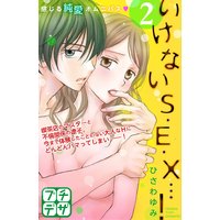 いけないS・E・X…! プチデザ 2巻