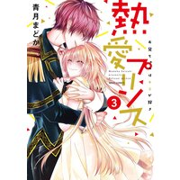 熱愛プリンス お兄ちゃんはキミが好き3