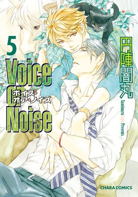 Voice or Noise5